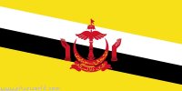 Bruneian Flag